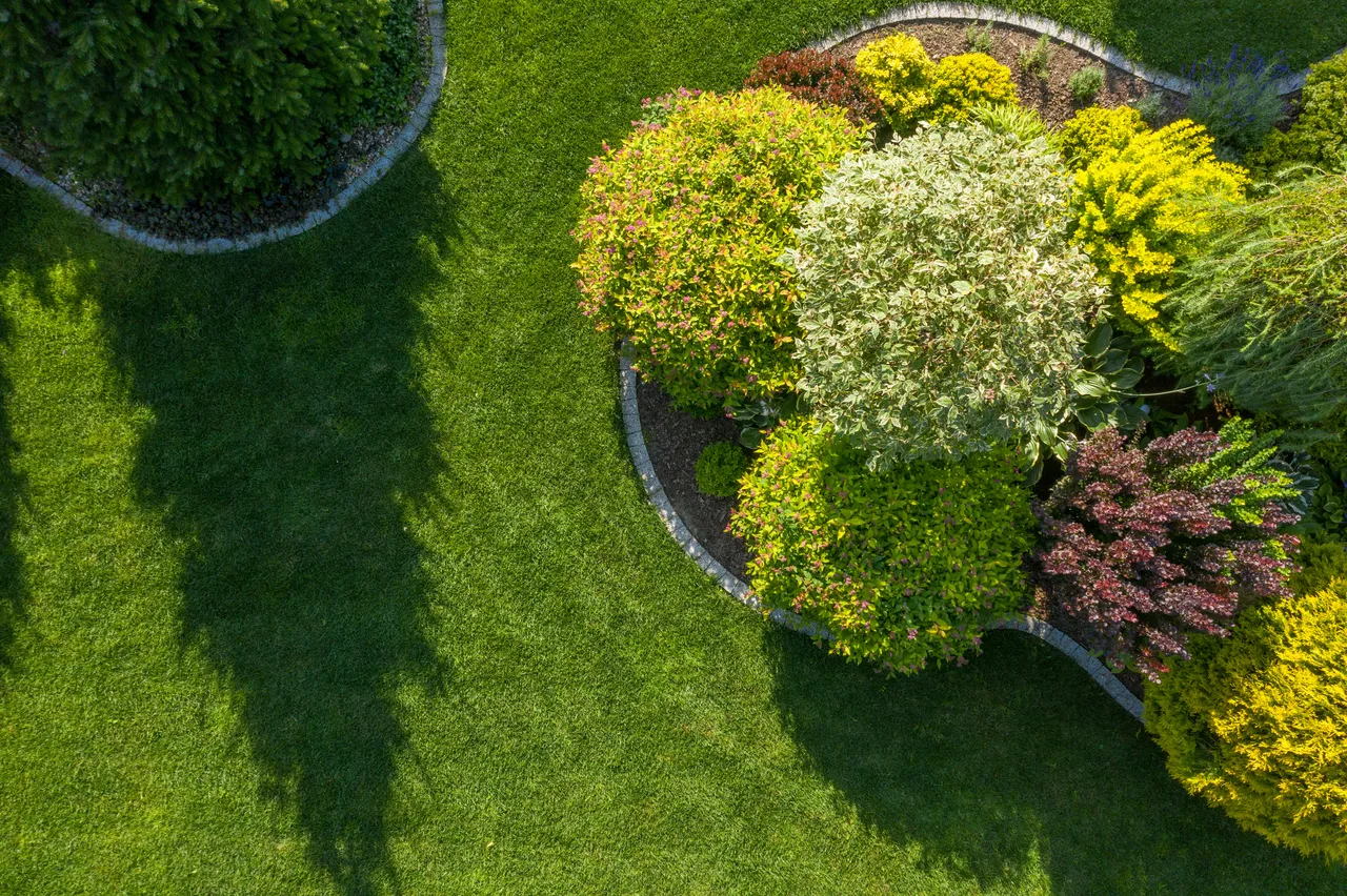 Aerial view of a green lawn and curved garden beds filled with colorful shrubs